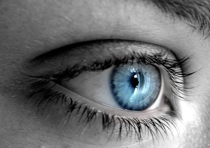 Люди с голубыми глазами более способны в учебе