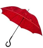 История появления зонта