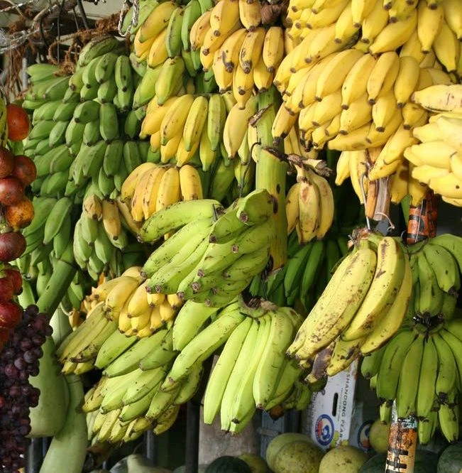 Польза бананов зависит от их спелости