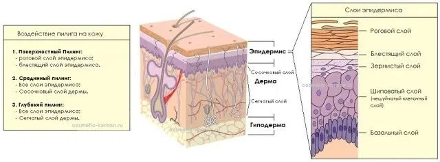 Эффективные пилинги для лица