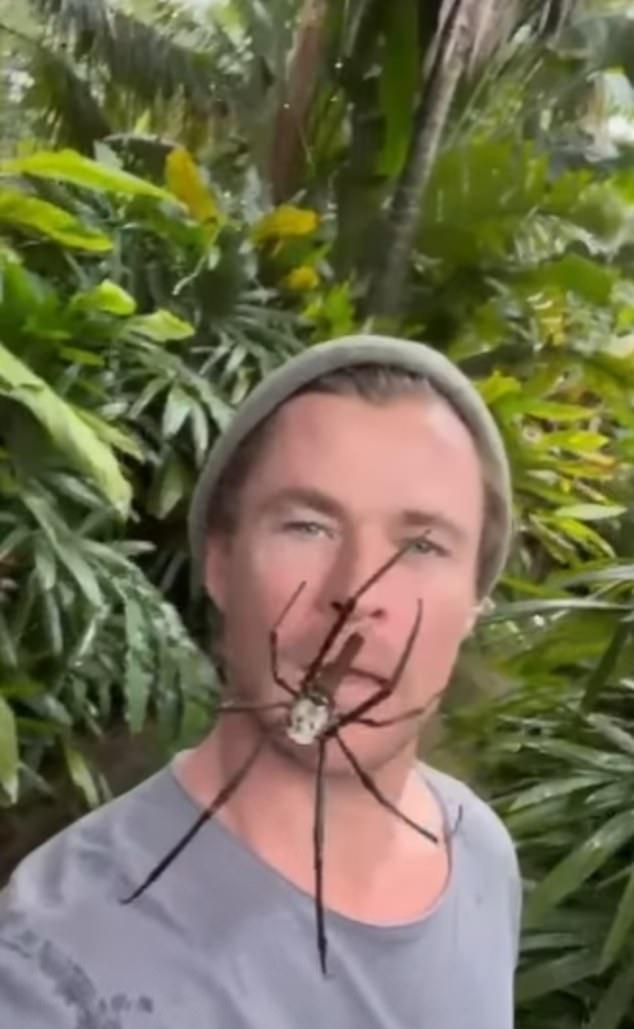 Крис Хемсворт и встреча с пауком