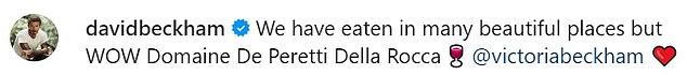 Давид поделился красивым снимком в социальной сети и написал: «Мы ели во многих красивых местах, но Domaine De Peretti Della Rocca — это ВАУ».