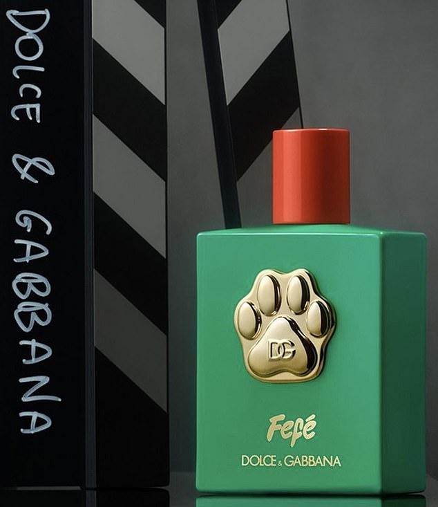 Духи для собак от Dolce & Gabbana