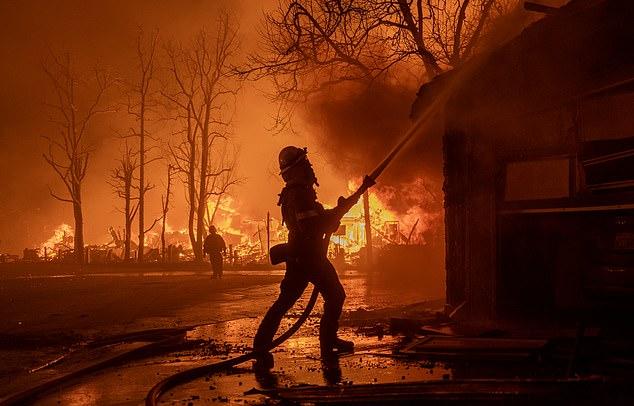 Анджелина Джоли и ее сын Нокс помогают близким, пострадавшим от пожаров в Лос-Анджелесе